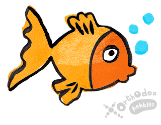 fish_320